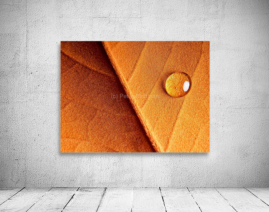 Drop Tension  Wall Preview