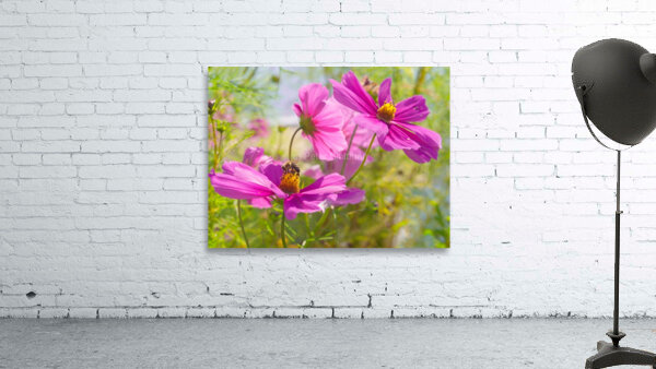 Busy Bee Wall Preview