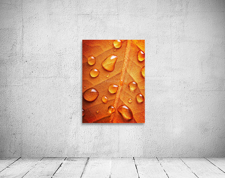 Warm Drops Wall Preview