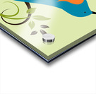 Eastern Bluebird Acrylic print