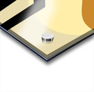 Desert Cactus Landscape Abstract Acrylic print