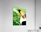 Toco Toucan Acrylic Print