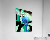 Blue and Yellow Macaw Acrylic Print