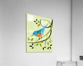 Eastern Bluebird Acrylic Print