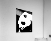 Giant Panda Portrait Acrylic Print