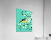 Red Breasted Nuthatch Acrylic Print