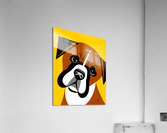 Boxer Dog Portrait Acrylic Print