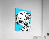 Dalmatian Puppy Acrylic Print