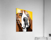 Basset Hound Vector Portrait Acrylic Print