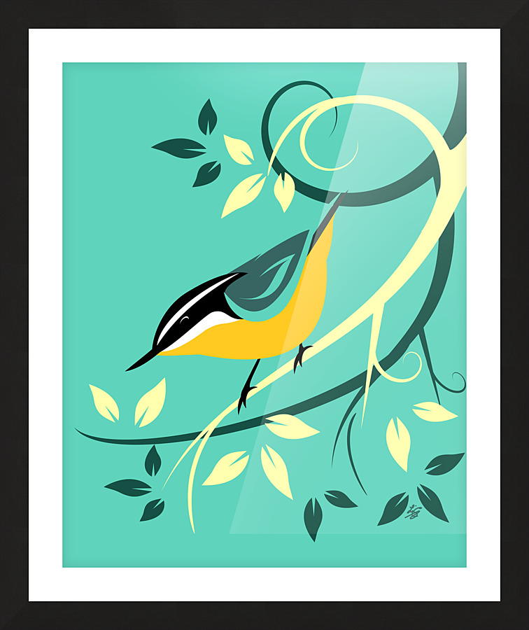 Red Breasted Nuthatch Picture Frame print
