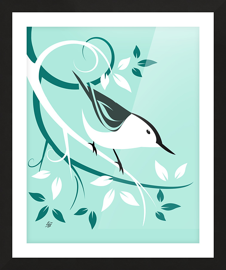 White Breasted Nuthatch Picture Frame print
