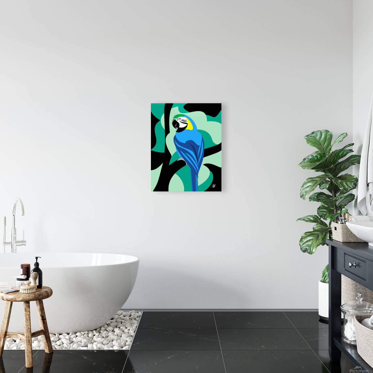 Blue and Yellow Macaw Reproduction