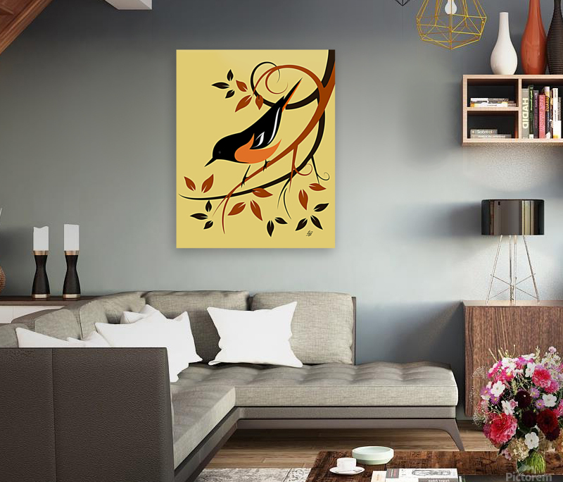 Baltimore Oriole Bird Reproduction