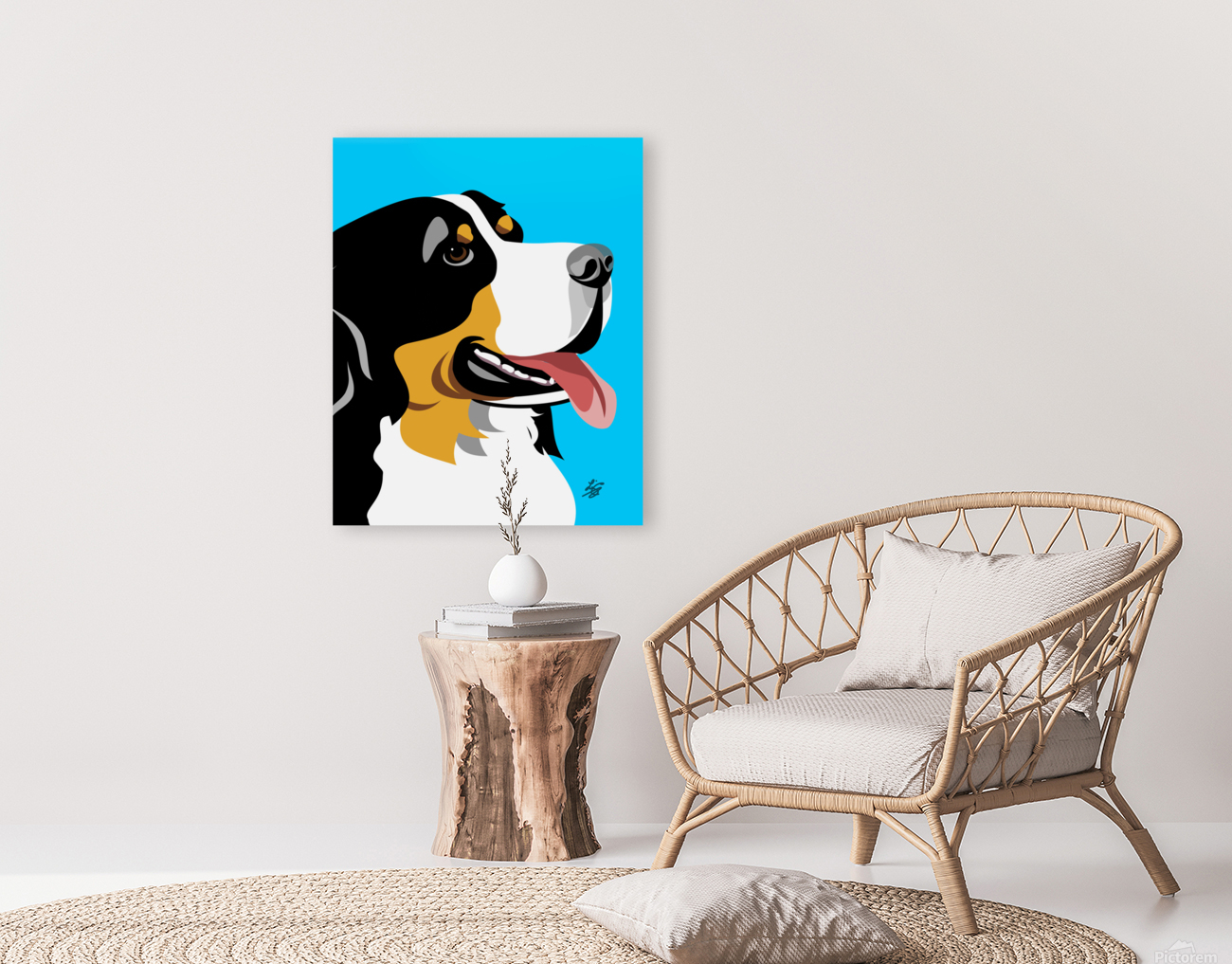 Bernese Mountain dog Reproduction