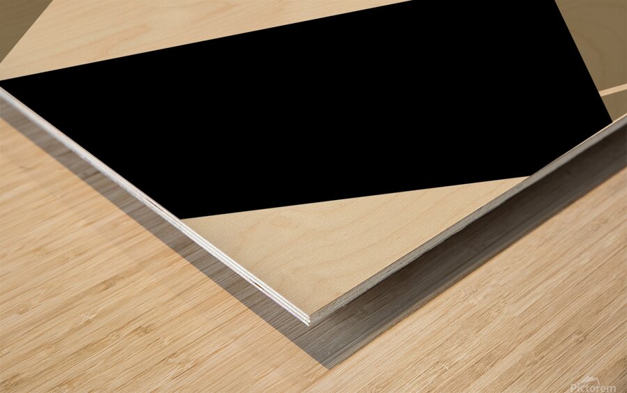 Geometric Abstract Beige Wood print