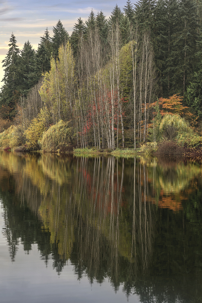Autumns Reflection  Digital Download