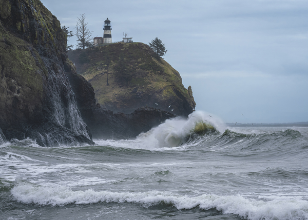 Cape Disappointment Digital Download