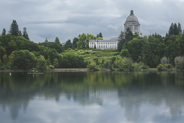 Capitol reflections Digital Download