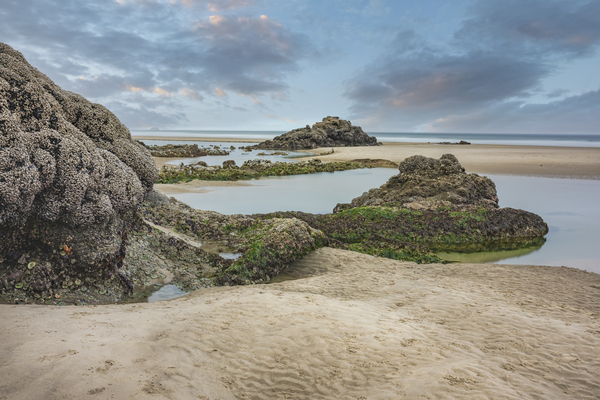 Captivating Tide Pools Digital Download
