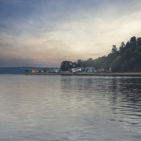 Dash Point Digital Download