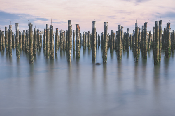 Deeply anchored Digital Download