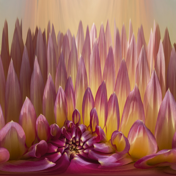 Heavenly Light Digital Download