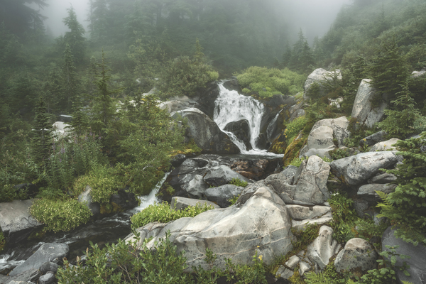 Misty falls Digital Download