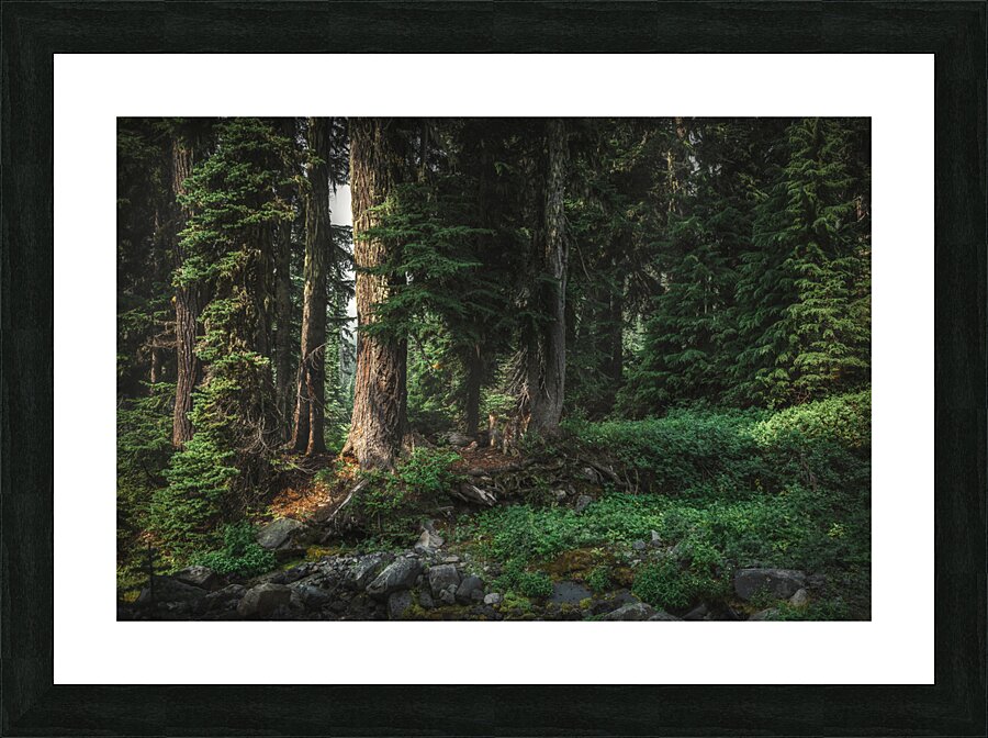 A stroll in paradise Picture Frame print