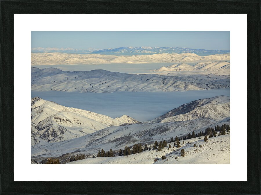 Dream State Picture Frame print