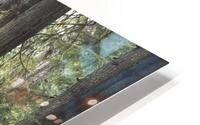 A kodak moment HD Metal print