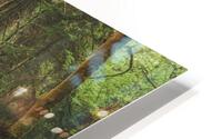 Up and out HD Metal print