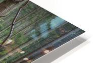 Serene majesty HD Metal print