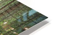 Autum beauty HD Metal print