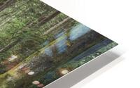 Changing seasons HD Metal print