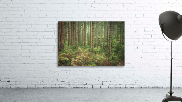 Autum beauty Wall Preview
