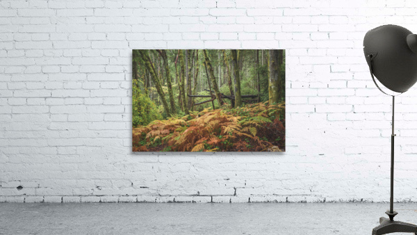 Changing seasons Wall Preview
