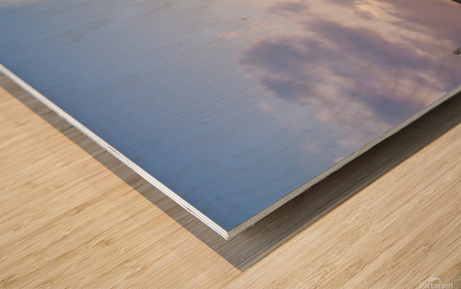 Ascent to the Horizon Wood print