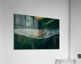 Leafed Alone Acrylic Print