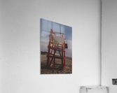 The Look Out Acrylic Print