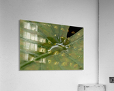 Aspen Acrylic Print