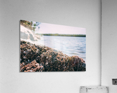 Serenity Acrylic Print