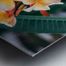 Aloha Oe Metal print