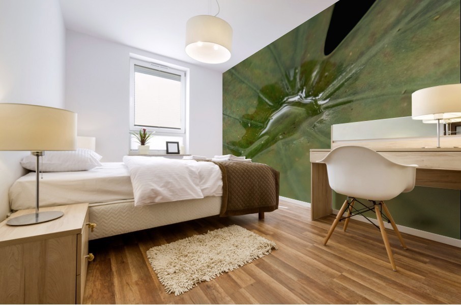 Aspen Mural print