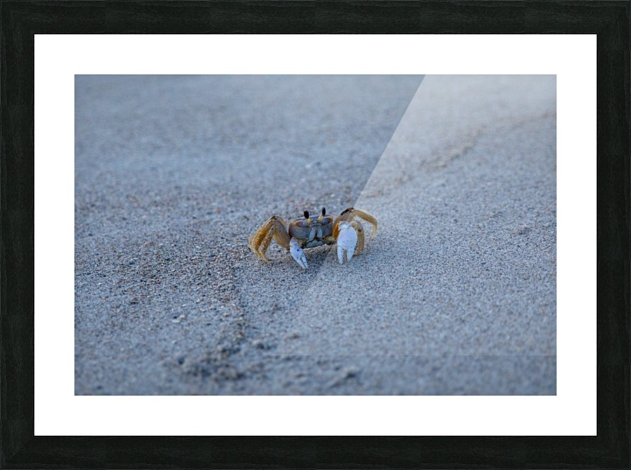 Dont Be Crabby Picture Frame print