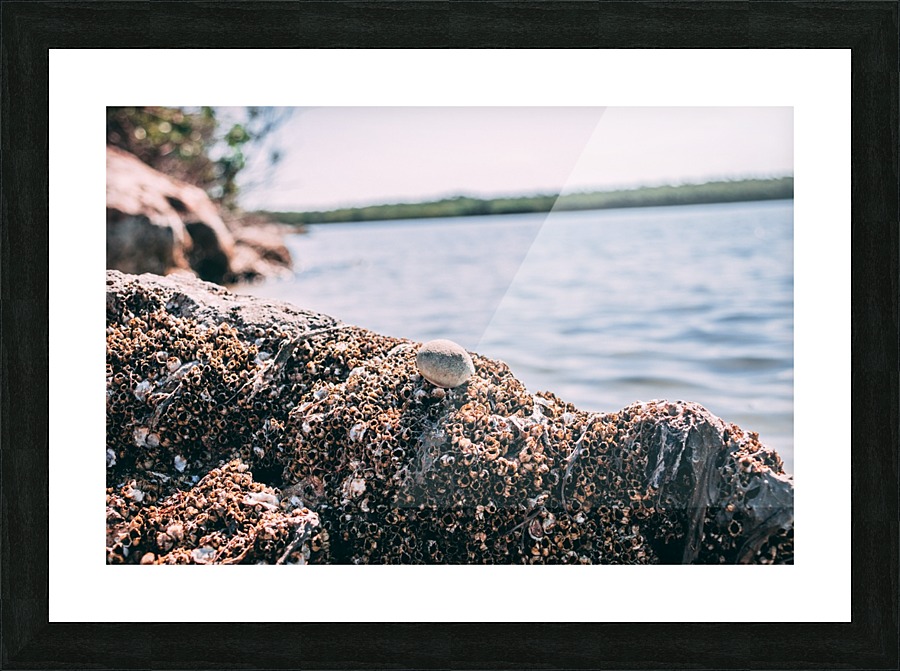 Serenity Picture Frame print