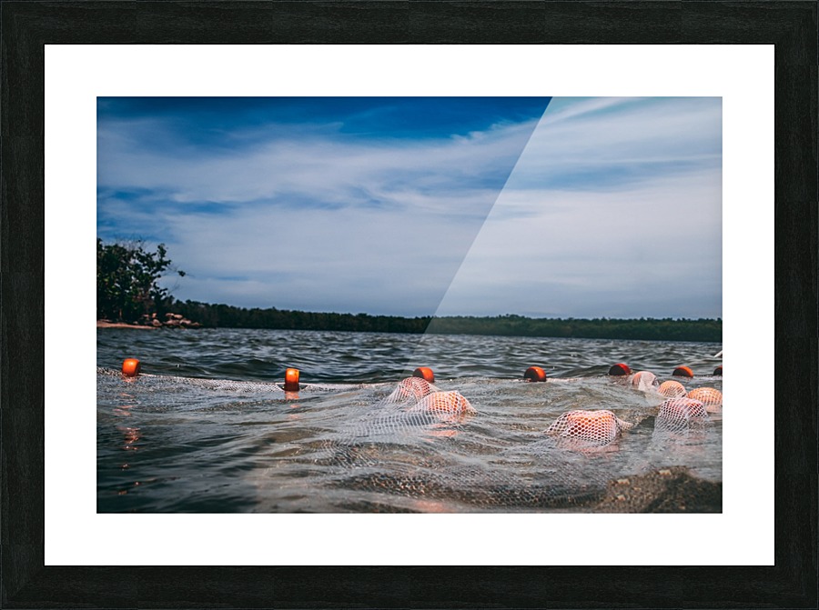 Catchin the View Picture Frame print