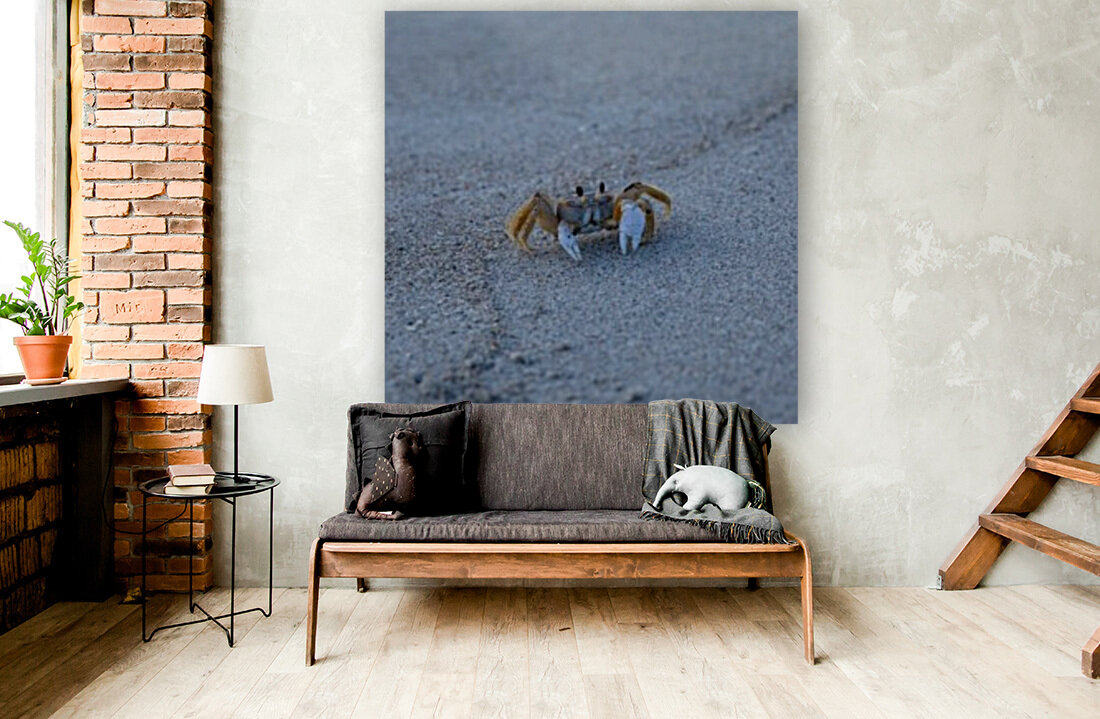 Dont Be Crabby Reproduction