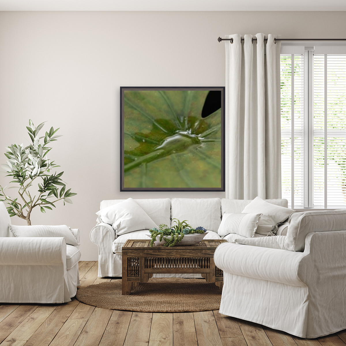 Aspen Reproduction