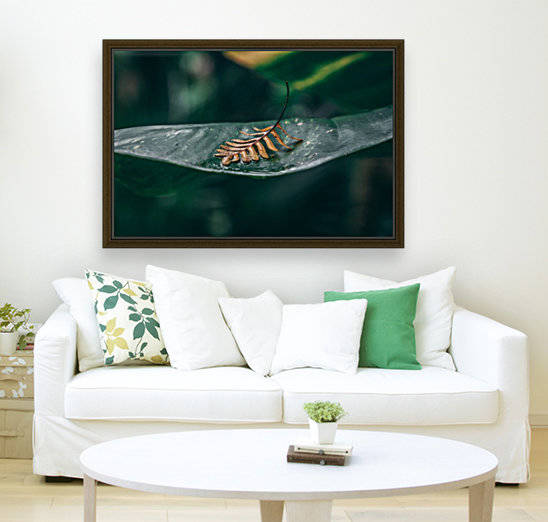 Leafed Alone by Stormy Galleries