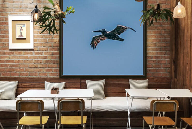 In Flight by Stormy Galleries